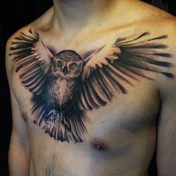 Mighty Wild Owl Tattoo on Men Chest in Black