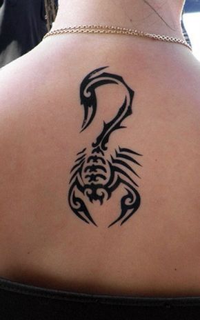 Gorgeous Art from Author of Scorpion Tattoo