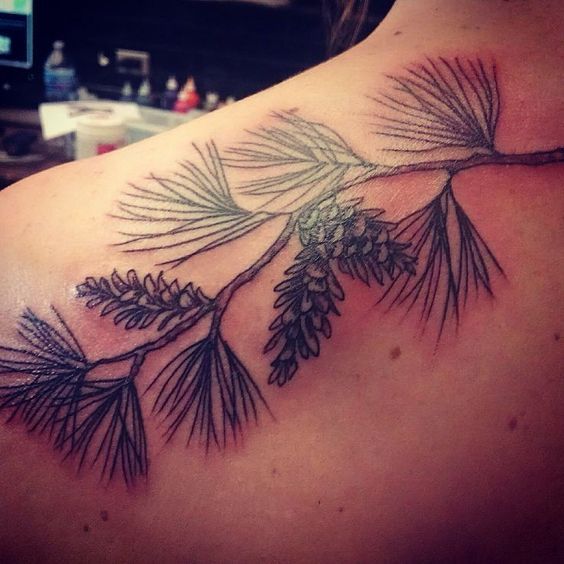 Admired Pine Cone Tattoo